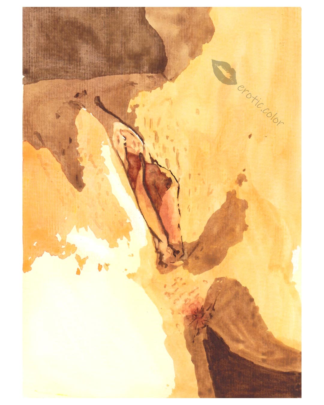 Pussy Closeup Watercolor